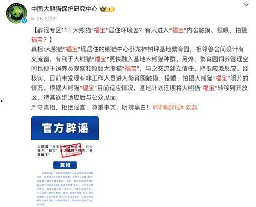 福宝最新事情爆料,揭秘幕后真相，带你走进福宝世界